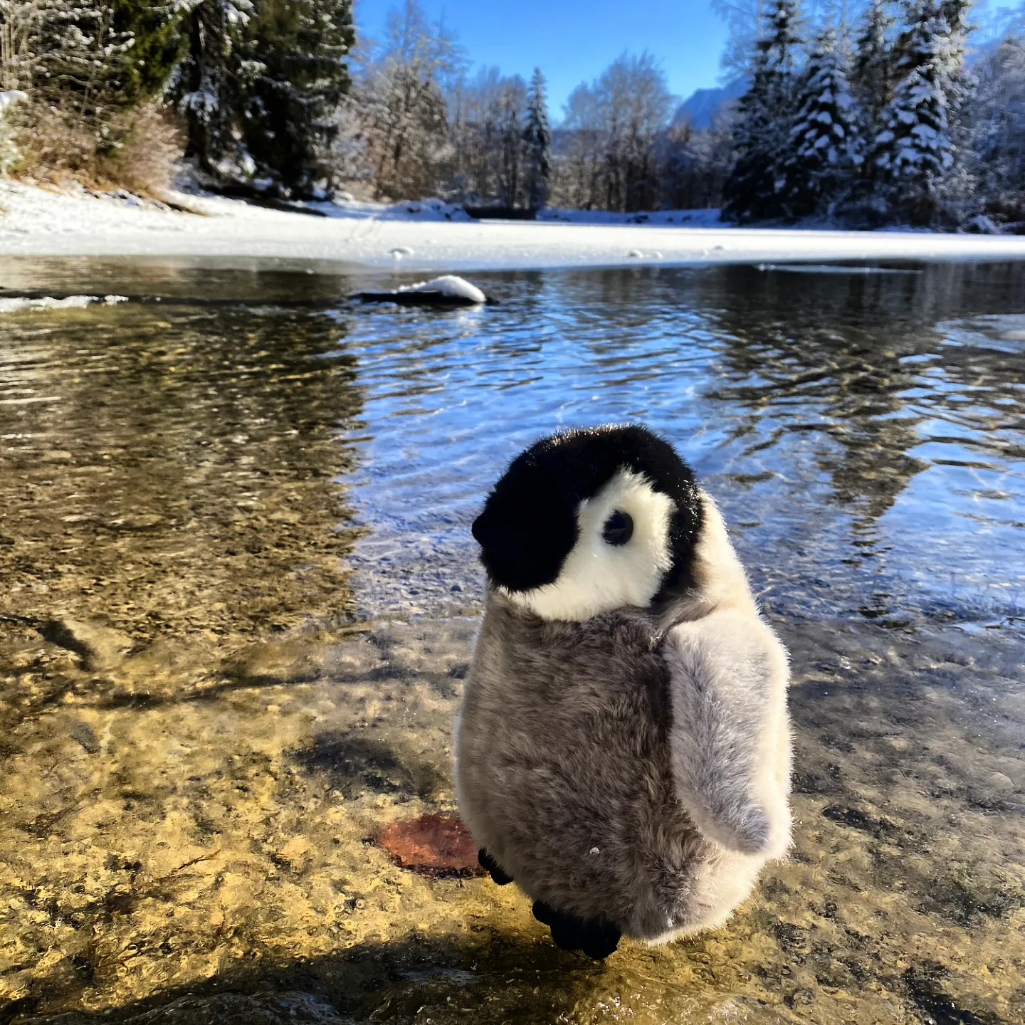 Pinguin-Kuscheltier-Plüschtier-Stofftier